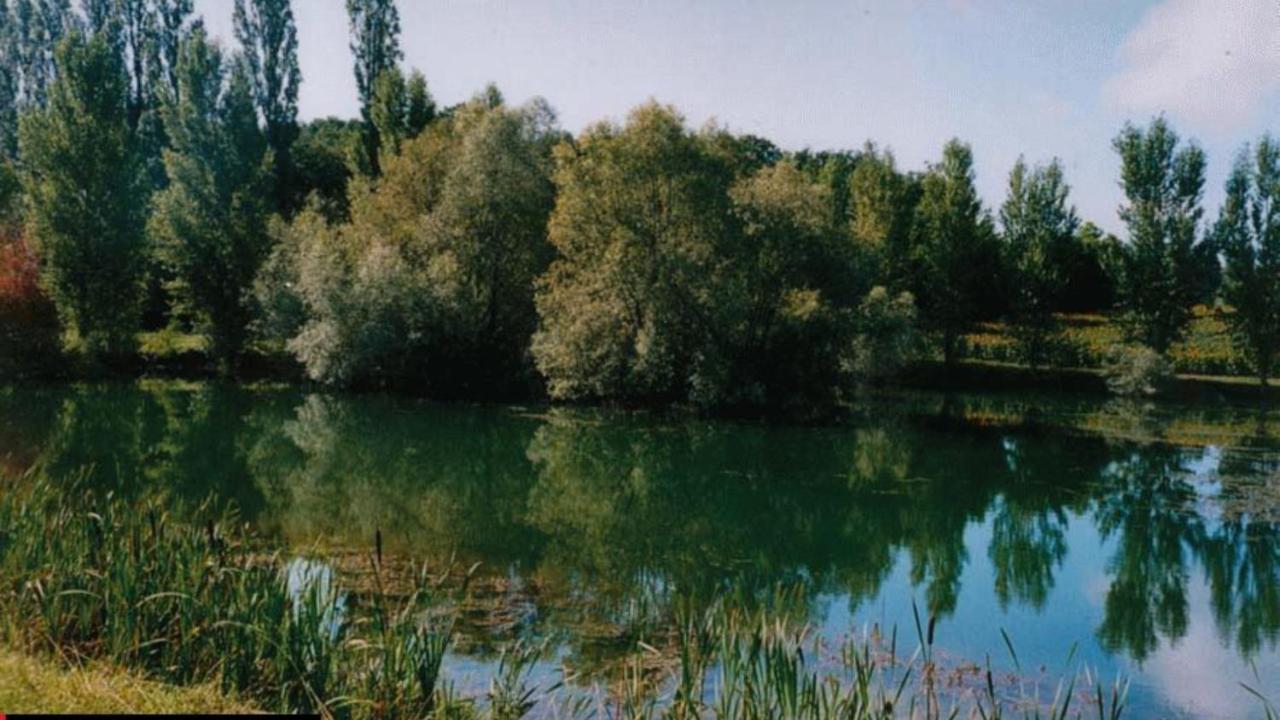 La Decouverte, Jacuzzi, Sauna, Et Terrasse Avec Vue Sur Lac A La Campagne Entre Toulouse Et Auch Catonvielle Kültér fotó