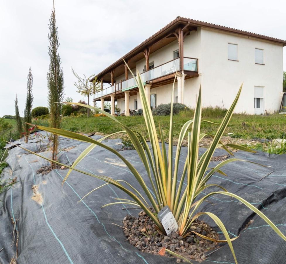 La Decouverte, Jacuzzi, Sauna, Et Terrasse Avec Vue Sur Lac A La Campagne Entre Toulouse Et Auch Catonvielle Kültér fotó
